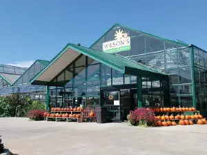 Wilson's Garden Center
