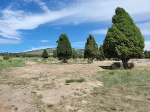 Kelly Park
