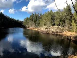 Skönnarboleden