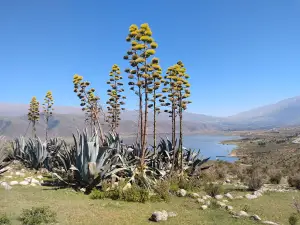 Rotonda El Mollar