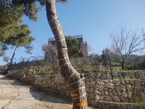 Jabalna Camping