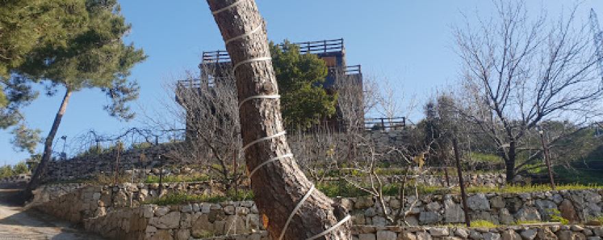 Jabalna Camping