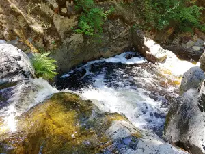 Mill Creek Regional Park
