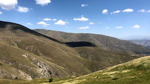 Гогашени