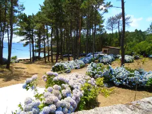 Camping Ruta De Finisterre