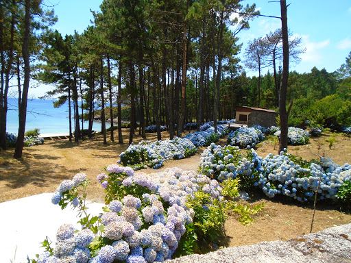 Camping Ruta De Finisterre