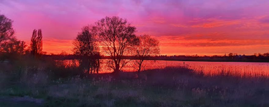 Camping "De Hoge Waard"