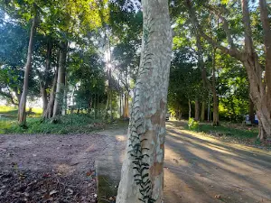 Bueng Khong Long Non-Hunting Area