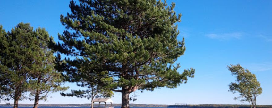 Munro Park