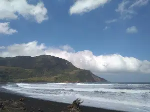 Mercusuar Pantai Puger