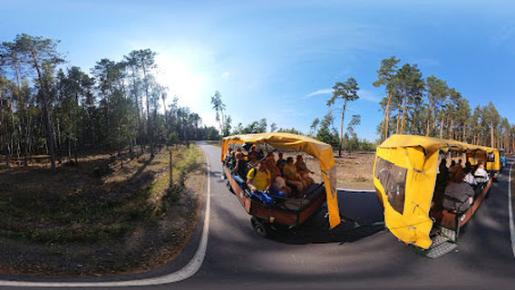 Pripyatsky National Park, Belarus