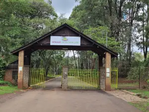 Bomas Of Kenya