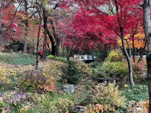 青瓦台