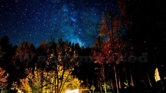 Bonito Hollow RV Park & Campground