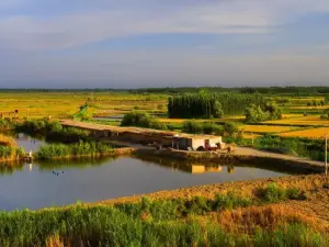 Zepu Yarkant River National Wetland Park