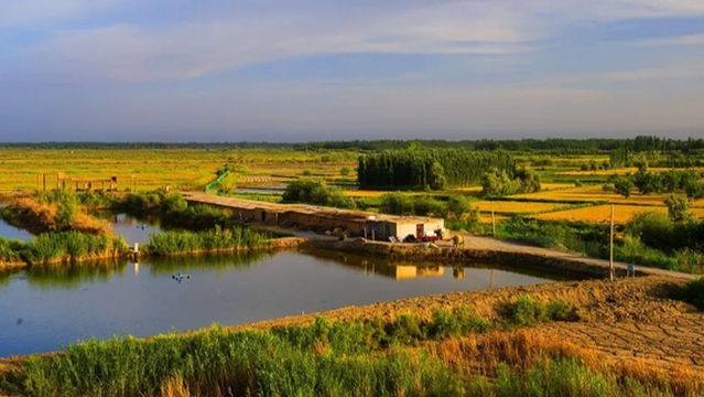Zepu Yarkant River National Wetland Park