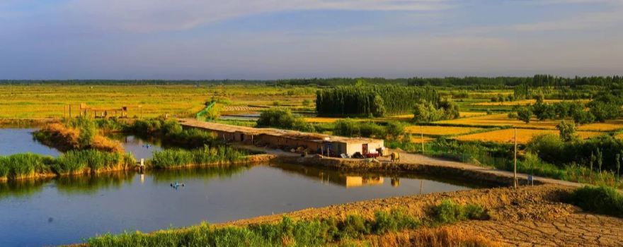 Zepu Yarkant River National Wetland Park