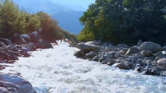 lin cang shi yong de xian da xue shan dian xue ji piao