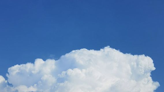 Zhangtan Wetland Park