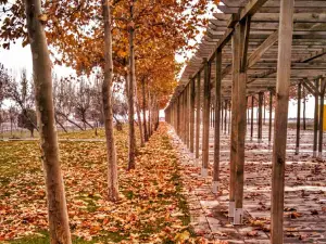 Nevruz Park