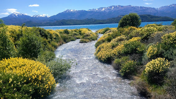 Camping Río Chirifo