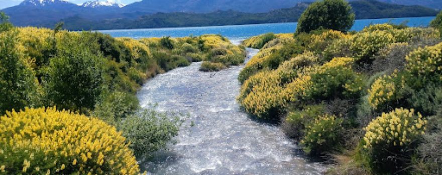 Camping Río Chirifo