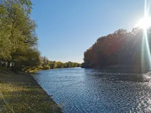 Lunca Joasă a Prutului Inferior Natural Park