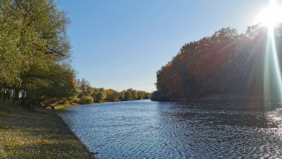 Lunca Joasă a Prutului Inferior Natural Park