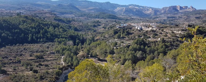 Poliesportiu Racó l’Arena