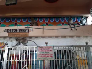 Shree Kshetra Yedeshwari Devi, Yermala, Maharashtra