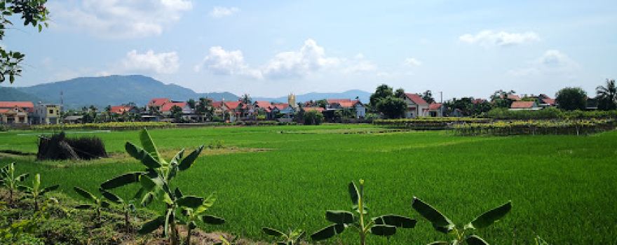 Nhà thờ giáo họ Biểu Nghi