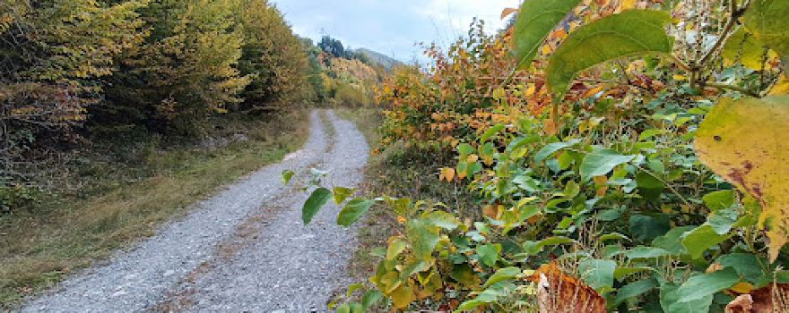 Cascada Posada