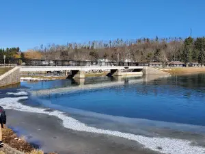 Cold Stream Dam & Recreation Park