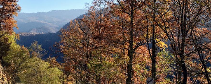 Camping Adrian Accommodation Jina Transalpina