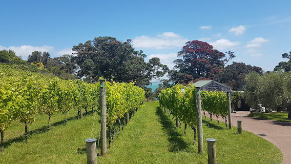 Waiheke Island
