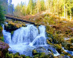 香港-特里貝格 機票酒店 自由行