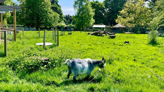 Camperdown Wildlife Centre