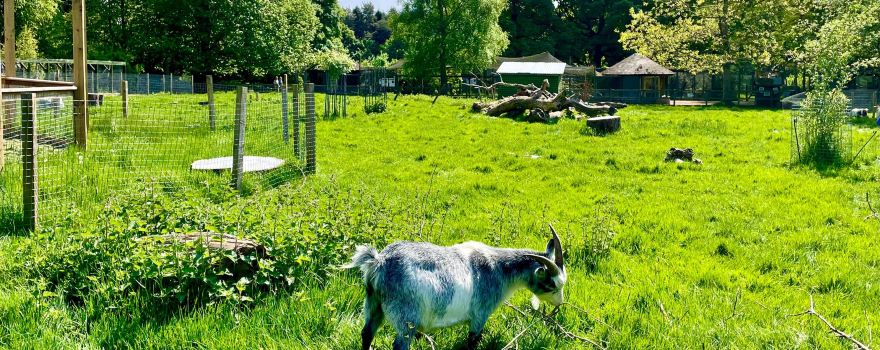 Camperdown Wildlife Centre