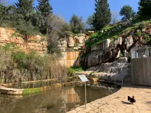 Galilee Park