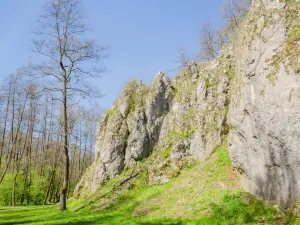 Mnikowska Valley