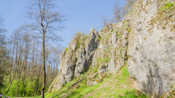 Mnikowska Valley