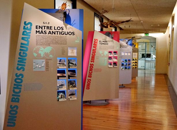 Museum of Nature and Archaeology