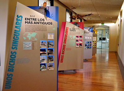 Museo della natura e dell'uomo