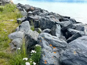 Beluga Point