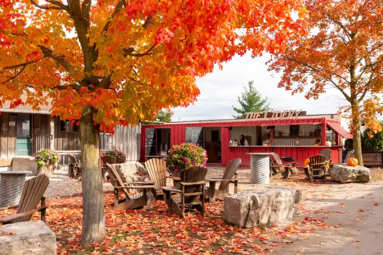 Hotels in Halton Hills