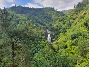Fervenza do Belelle