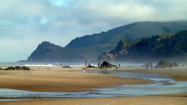 D River State Recreation Site