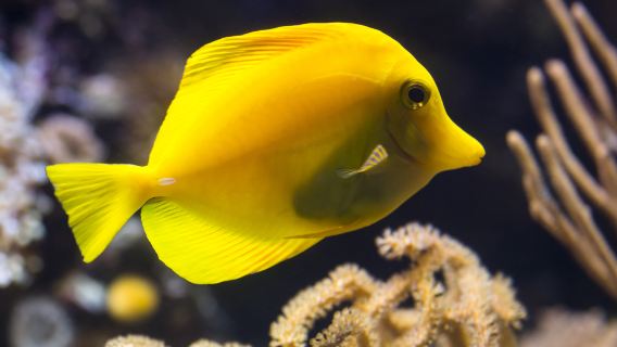 SEA LIFE Hannover