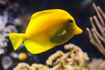 SEA LIFE Hannover