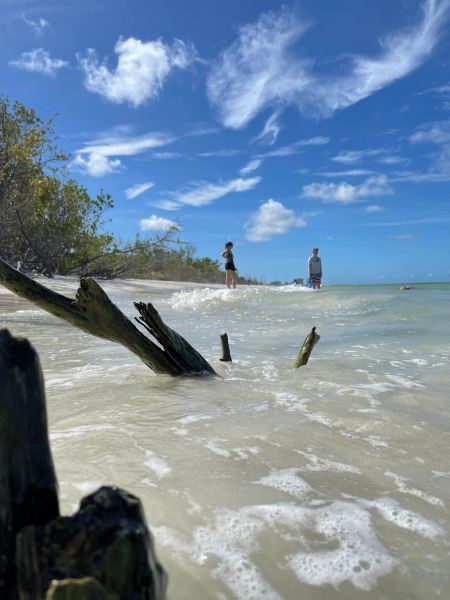Voli Tampa Marco Island